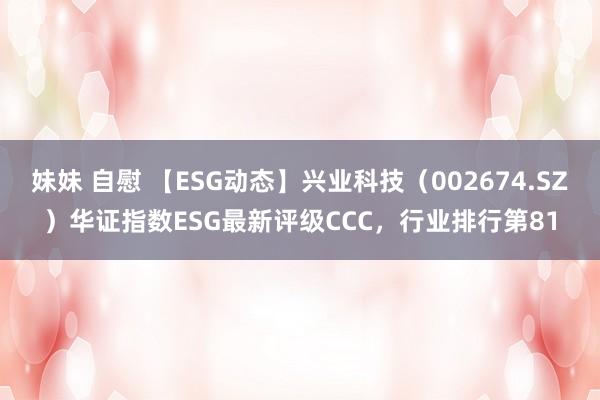 妹妹 自慰 【ESG动态】兴业科技（002674.SZ）华证指数ESG最新评级CCC，行业排行第81