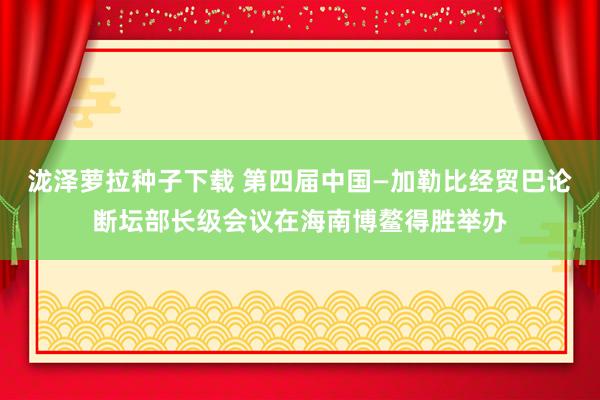 泷泽萝拉种子下载 第四届中国—加勒比经贸巴论断坛部长级会议在海南博鳌得胜举办