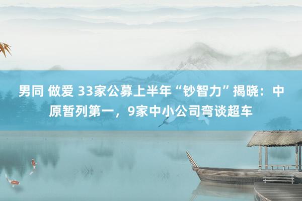 男同 做爱 33家公募上半年“钞智力”揭晓：中原暂列第一，9家中小公司弯谈超车