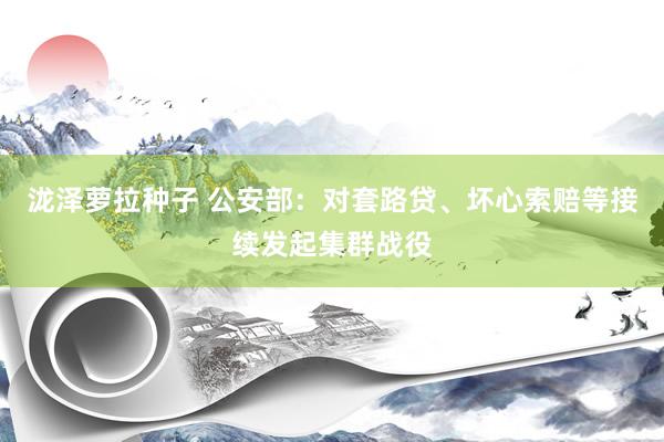 泷泽萝拉种子 公安部：对套路贷、坏心索赔等接续发起集群战役