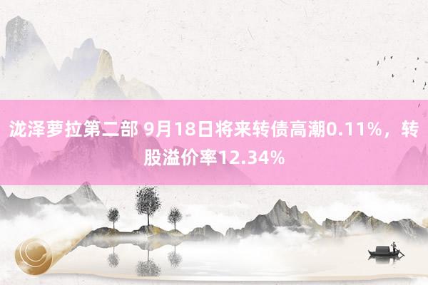 泷泽萝拉第二部 9月18日将来转债高潮0.11%，转股溢价率12.34%