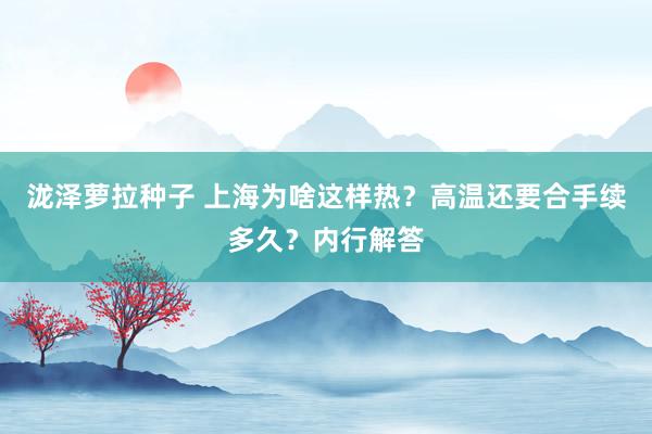 泷泽萝拉种子 上海为啥这样热？高温还要合手续多久？内行解答