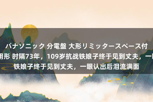 パナソニック 分電盤 大形リミッタースペース付 露出・半埋込両用形 时隔73年，109岁抗战铁娘子终于见到丈夫，一眼认出后泪流满面