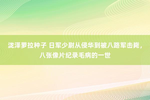 泷泽萝拉种子 日军少尉从侵华到被八路军击毙，八张像片纪录毛病的一世