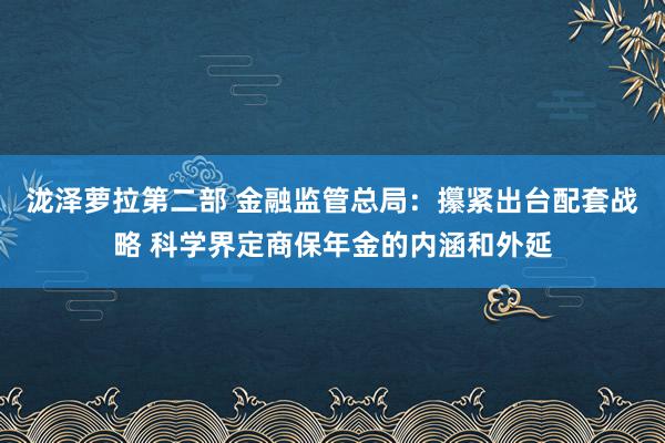 泷泽萝拉第二部 金融监管总局：攥紧出台配套战略 科学界定商保年金的内涵和外延