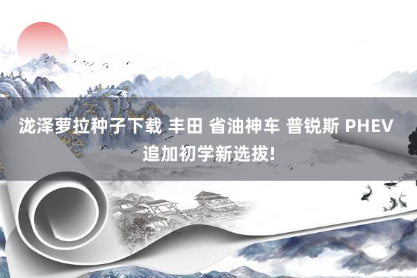 泷泽萝拉种子下载 丰田 省油神车 普锐斯 PHEV 追加初学新选拔!