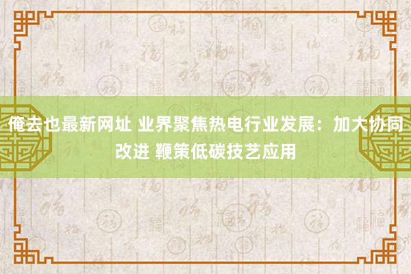 俺去也最新网址 业界聚焦热电行业发展：加大协同改进 鞭策低碳技艺应用