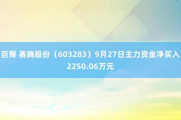 巨臀 赛腾股份（603283）9月27日主力资金净买入2250.06万元