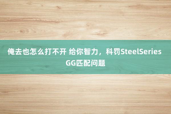 俺去也怎么打不开 给你智力，科罚SteelSeries GG匹配问题