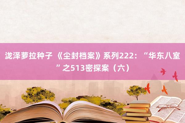 泷泽萝拉种子 《尘封档案》系列222：“华东八室”之513密探案（六）