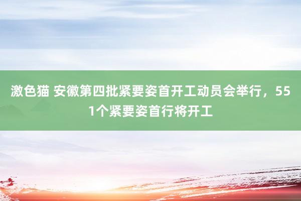 激色猫 安徽第四批紧要姿首开工动员会举行，551个紧要姿首行将开工