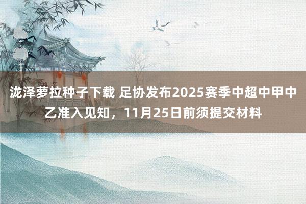 泷泽萝拉种子下载 足协发布2025赛季中超中甲中乙准入见知，11月25日前须提交材料