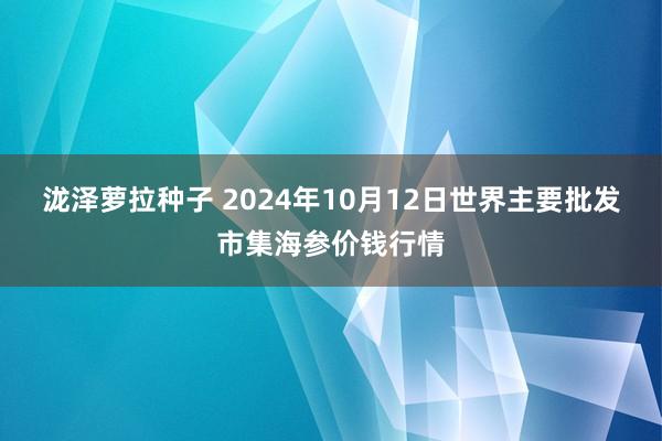 泷泽萝拉种子 2024年10月12日世界主要批发市集海参价钱行情