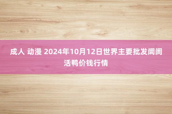 成人 动漫 2024年10月12日世界主要批发阛阓活鸭价钱行情