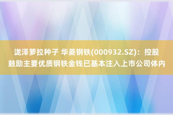 泷泽萝拉种子 华菱钢铁(000932.SZ)：控股鼓励主要优质钢铁金钱已基本注入上市公司体内