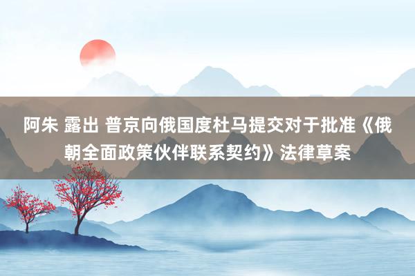 阿朱 露出 普京向俄国度杜马提交对于批准《俄朝全面政策伙伴联系契约》法律草案