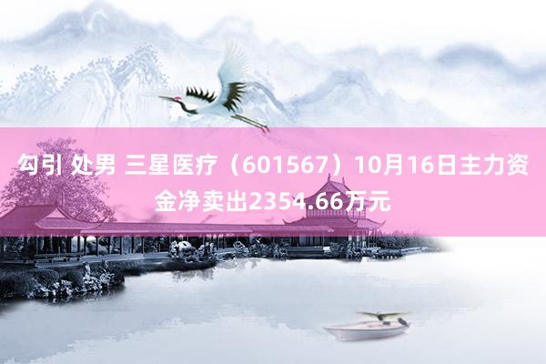 勾引 处男 三星医疗（601567）10月16日主力资金净卖出2354.66万元