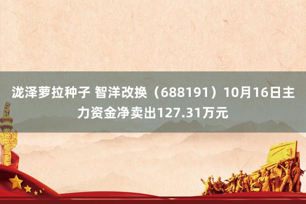 泷泽萝拉种子 智洋改换（688191）10月16日主力资金净卖出127.31万元