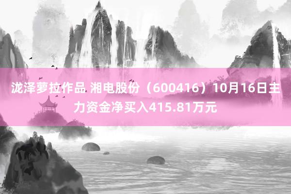 泷泽萝拉作品 湘电股份（600416）10月16日主力资金净买入415.81万元