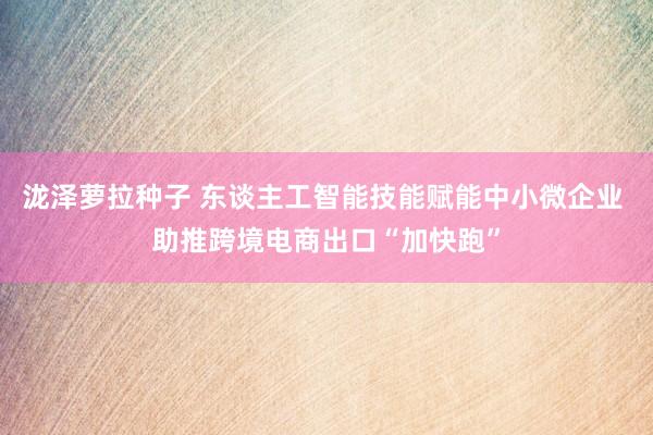 泷泽萝拉种子 东谈主工智能技能赋能中小微企业 助推跨境电商出口“加快跑”