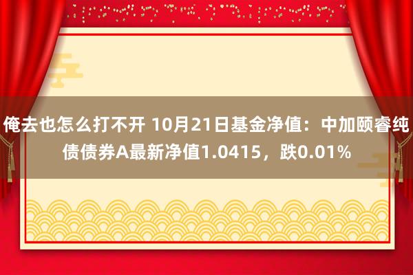 俺去也怎么打不开 10月21日基金净值：中加颐睿纯债债券A最新净值1.0415，跌0.01%