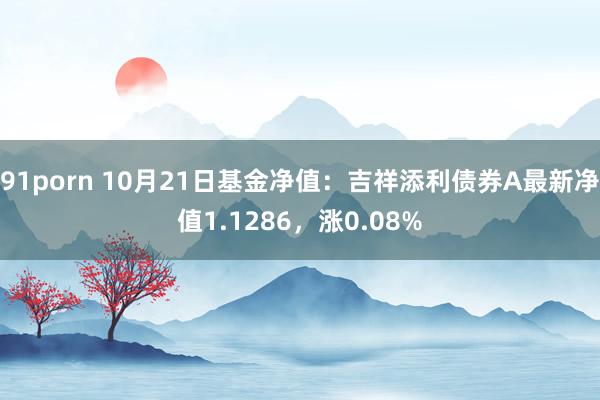 91porn 10月21日基金净值：吉祥添利债券A最新净值1.1286，涨0.08%