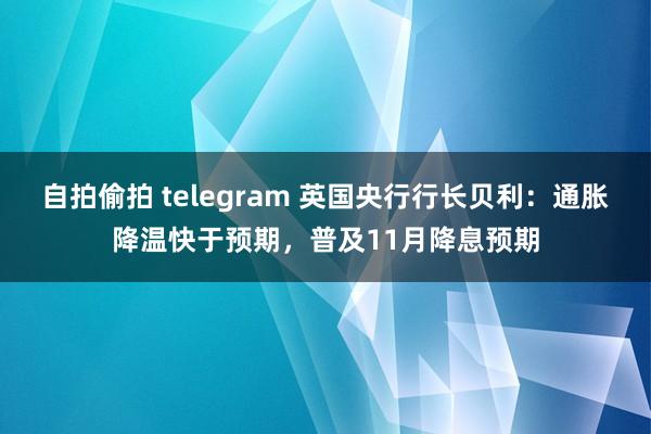 自拍偷拍 telegram 英国央行行长贝利：通胀降温快于预期，普及11月降息预期