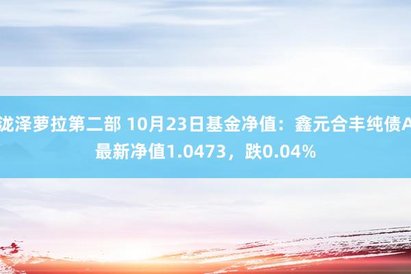 泷泽萝拉第二部 10月23日基金净值：鑫元合丰纯债A最新净值1.0473，跌0.04%