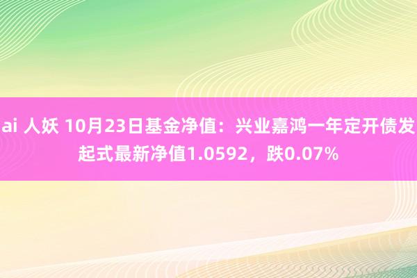 ai 人妖 10月23日基金净值：兴业嘉鸿一年定开债发起式最新净值1.0592，跌0.07%