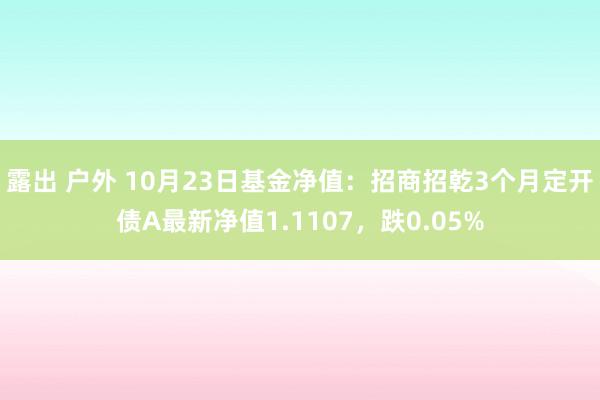 露出 户外 10月23日基金净值：招商招乾3个月定开债A最新净值1.1107，跌0.05%