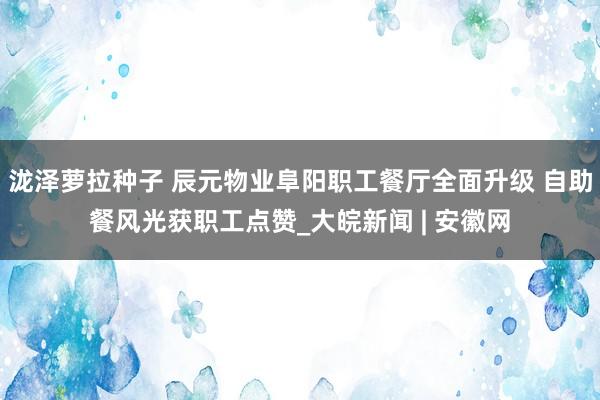 泷泽萝拉种子 辰元物业阜阳职工餐厅全面升级 自助餐风光获职工点赞_大皖新闻 | 安徽网