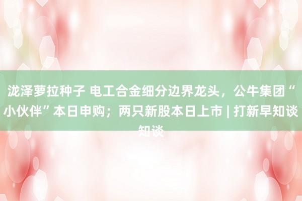 泷泽萝拉种子 电工合金细分边界龙头，公牛集团“小伙伴”本日申购；两只新股本日上市 | 打新早知谈