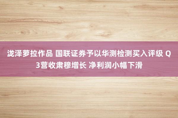 泷泽萝拉作品 国联证券予以华测检测买入评级 Q3营收肃穆增长 净利润小幅下滑