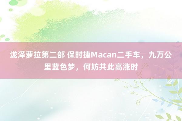 泷泽萝拉第二部 保时捷Macan二手车，九万公里蓝色梦，何妨共此高涨时