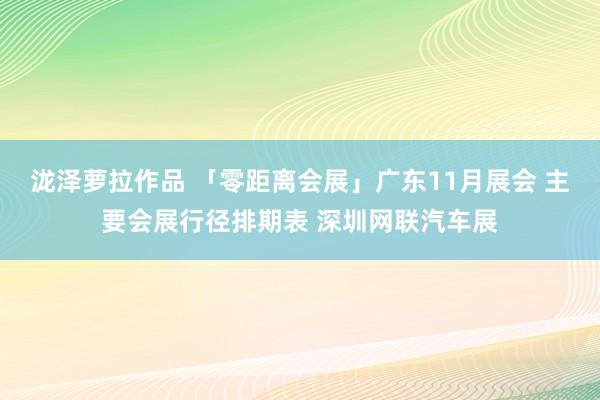 泷泽萝拉作品 「零距离会展」广东11月展会 主要会展行径排期表 深圳网联汽车展