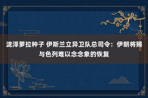 泷泽萝拉种子 伊斯兰立异卫队总司令：伊朗将赐与色列难以念念象的恢复