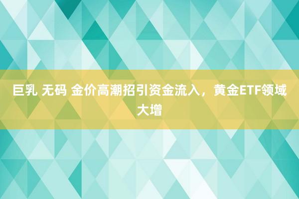 巨乳 无码 金价高潮招引资金流入，黄金ETF领域大增