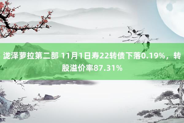 泷泽萝拉第二部 11月1日寿22转债下落0.19%，转股溢价率87.31%