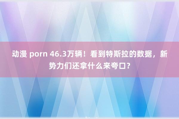 动漫 porn 46.3万辆！看到特斯拉的数据，新势力们还拿什么来夸口？