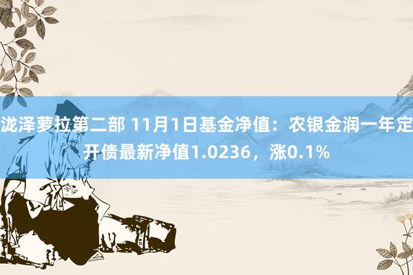 泷泽萝拉第二部 11月1日基金净值：农银金润一年定开债最新净值1.0236，涨0.1%