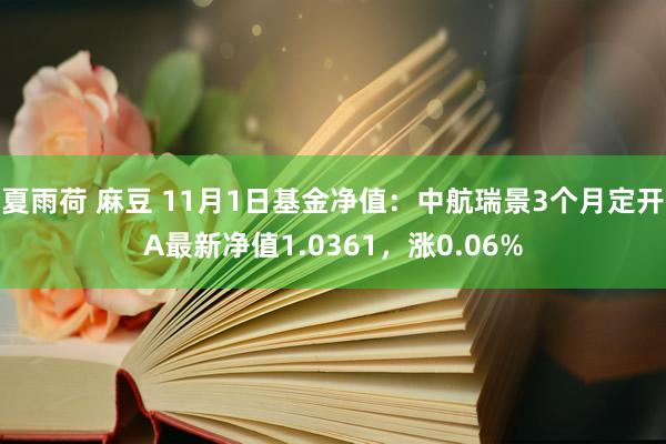 夏雨荷 麻豆 11月1日基金净值：中航瑞景3个月定开A最新净值1.0361，涨0.06%