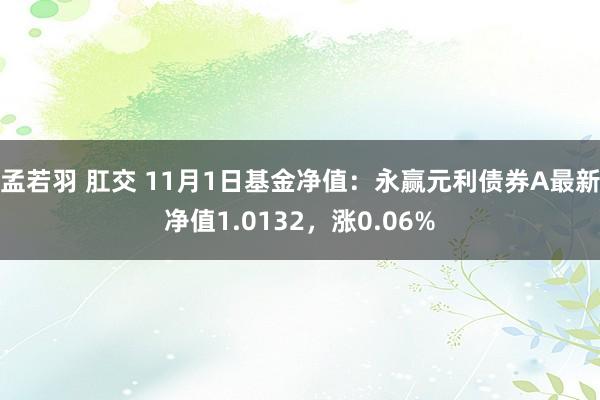 孟若羽 肛交 11月1日基金净值：永赢元利债券A最新净值1.0132，涨0.06%