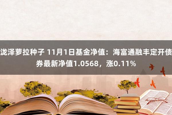 泷泽萝拉种子 11月1日基金净值：海富通融丰定开债券最新净值1.0568，涨0.11%