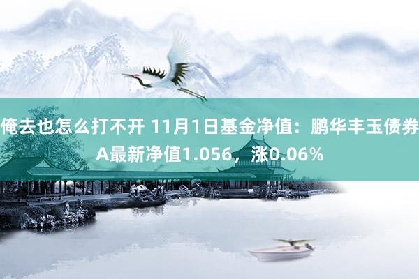 俺去也怎么打不开 11月1日基金净值：鹏华丰玉债券A最新净值1.056，涨0.06%