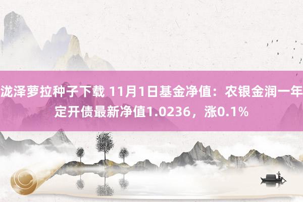 泷泽萝拉种子下载 11月1日基金净值：农银金润一年定开债最新净值1.0236，涨0.1%