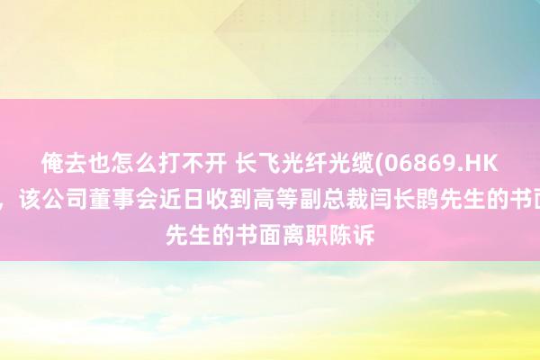 俺去也怎么打不开 长飞光纤光缆(06869.HK)发布公告，该公司董事会近日收到高等副总裁闫长鹍先生的书面离职陈诉