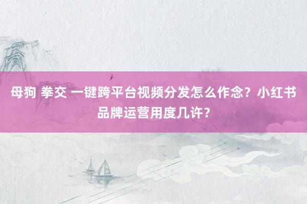 母狗 拳交 一键跨平台视频分发怎么作念？小红书品牌运营用度几许？