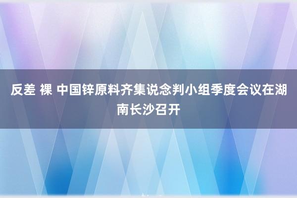 反差 裸 中国锌原料齐集说念判小组季度会议在湖南长沙召开