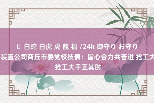 ✨白蛇 白虎 虎 龍 福 /24k 御守り お守り 中建七局装置公司商丘市委党校技俩：皆心合力共奋进 抢工大干正其时