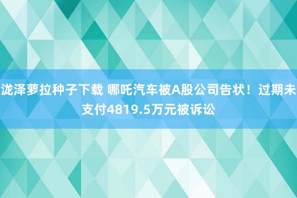 泷泽萝拉种子下载 哪吒汽车被A股公司告状！过期未支付4819.5万元被诉讼